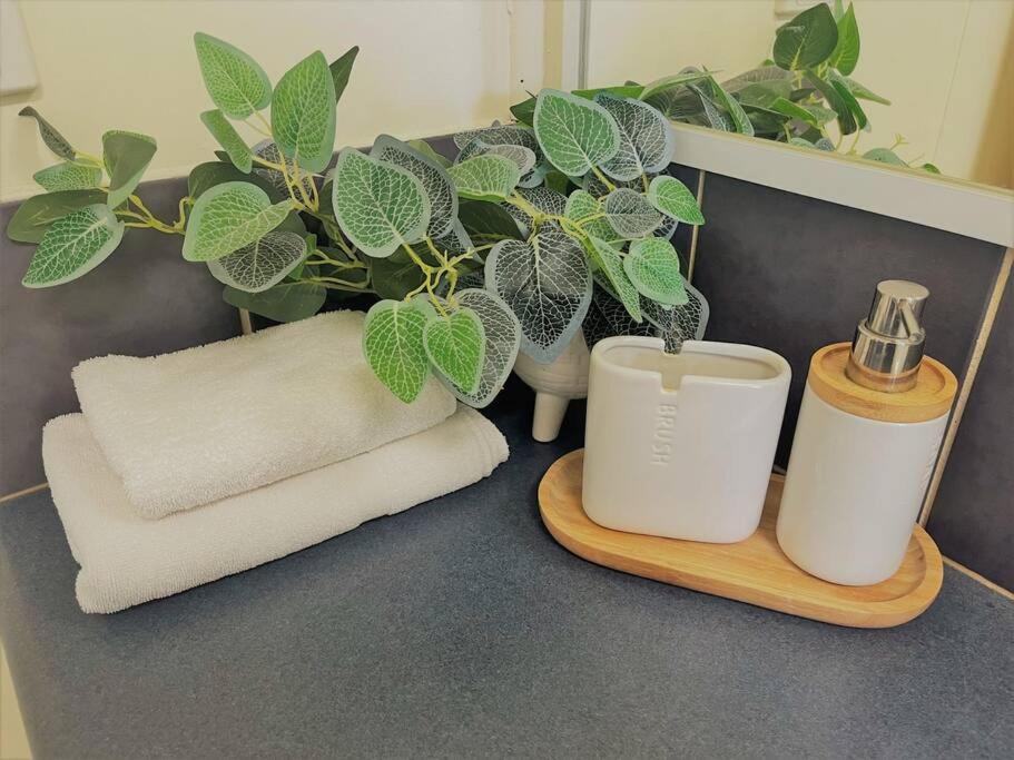 Three Palms Apartments Unit 2 Esperance Eksteriør billede